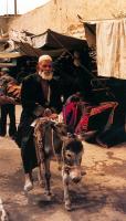 Sunday Bazaar Old Man